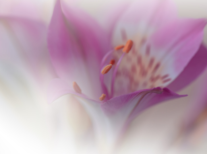 Baxt 20% Off* ALL INJECTABLES